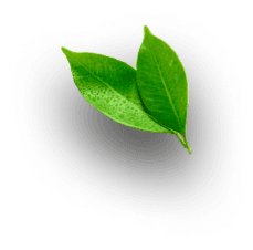 image sheet next-server (v14.2.35)