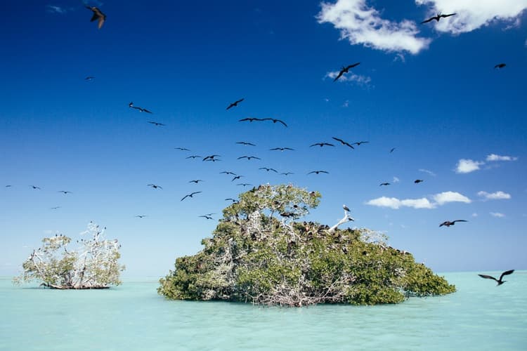 Punta Allen, el pueblo escondido