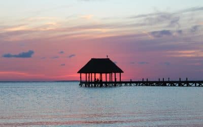 Panoramic view of the sea from Holbox Island