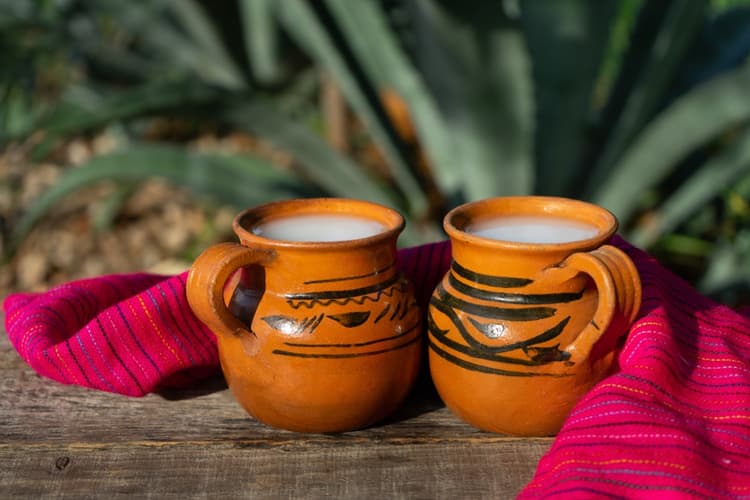 Pulque recién exprimido
