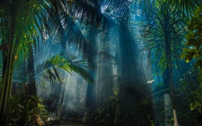 Tulum Trip Destination