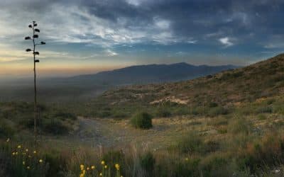 Coahuila State Views
