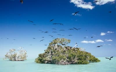 Punta Allen paraíso