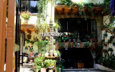 Coyoacán tienda de barrio