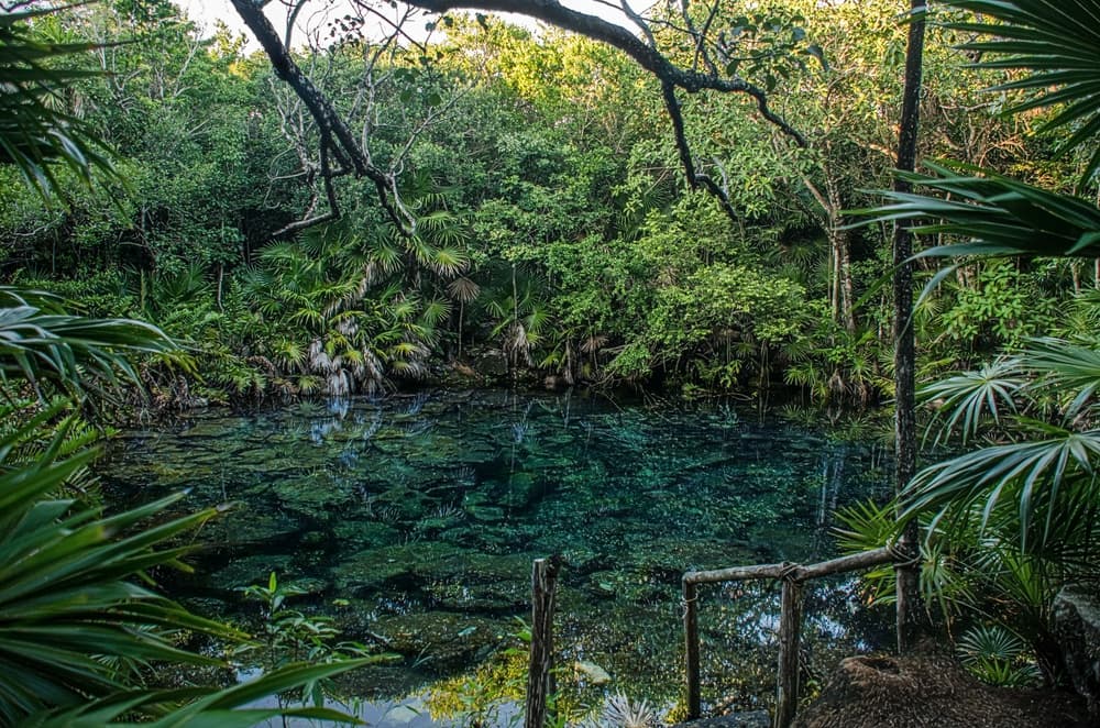 Tankah panorámica cenote