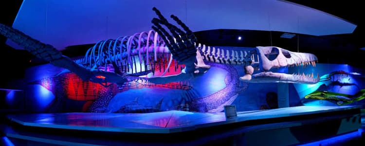 museos en puebla